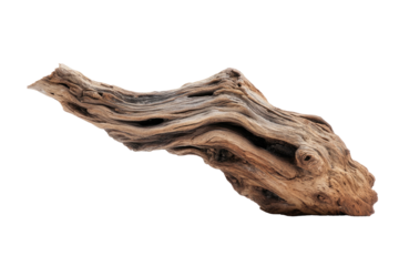 A weathered piece of driftwood with rough textures and intricate patterns, isolated on black