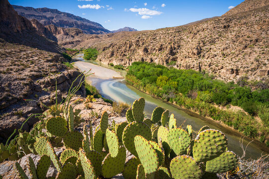 hiking at rio grande in big bend national park in texas in the usa