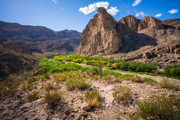 hiking at rio grande in big bend national park in texas in the usa