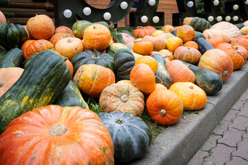 A large, colorful pile of various pumpkins and squashes, including orange and dark green varieties, displayed outdoors next to a curb and a decorative sign with lights.