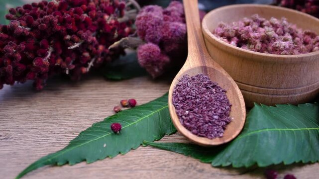Rhus coriaria: fresh vs ground sumac fruits comparison. Ground Sumac spice and fresh panicles