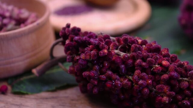 Ground Sumac spice (Rhus coriaria) and fresh panicles: Ingredients of Middle Eastern cuisine