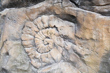 Close-up of a large, detailed relief sculpture or artificial rock surface showing a spiral ammonite...