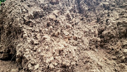 High resolution close up of brown clay soil surface texture natural ground photo for agriculture geology construction and farming backgrounds