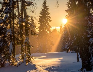 Golden sunlight bursts through snow-covered trees in a winter forest