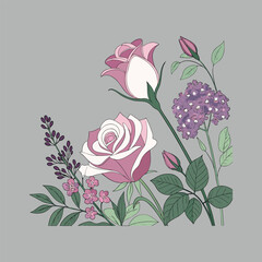 vector illustration of a pink rose