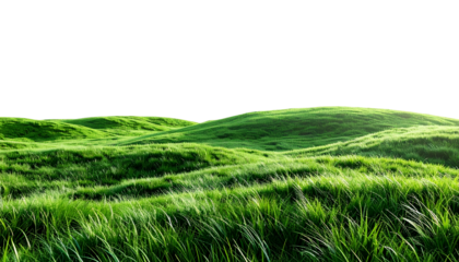 Lush, green landscape of rolling hills with long grass against a stark black sky