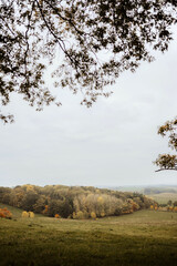Autumn scenery featuring rolling hills, vibrant foliage and a serene atmosphere. © Tatjana