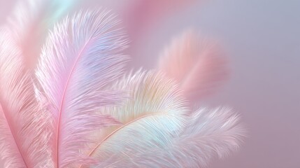 Obraz premium Soft Pastel Feathers with Elegant Gradient and Light Tones in a Dreamy Background