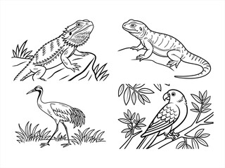 coloring page line art the animal black vector bundle
