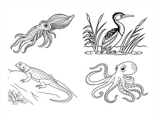 coloring page line art the animal black vector bundle