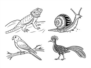 coloring page line art the animal black vector bundle