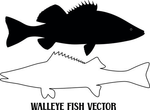 walleye fish silhouette vector, fish black symbol, fish icon