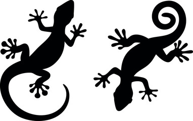 lizard silhouette vector, lizard  black symbol, lizard  icon