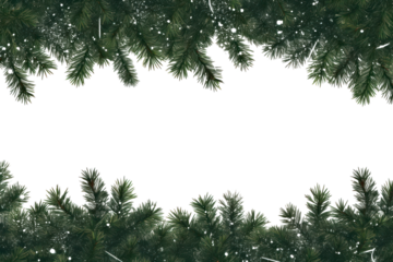 PNG Green Christmas tree branches snow backgrounds snowflake.