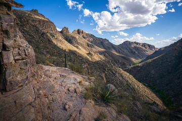 hiking in the desert between sagueros in arizona, usa
