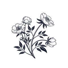 Elegant hand-drawn floral illustration with blooming peonies and detailed leaves. Perfect for botanical prints, tattoo designs, and decorative artwork. Classic black and white flower sketch style.