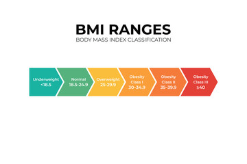 BMI Range Infographic Body Mass Index Chart