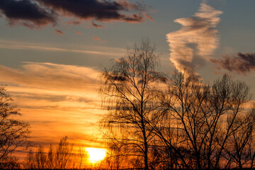 Silhouetted bare trees stand against a blazing orange and gold sunset sky. Dramatic clouds add depth to this tranquil twilight scene