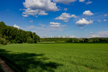 Vast green field stretching towards a distant tree line under a bright blue sky with fluffy clouds. Modern buildings peek above the horizon