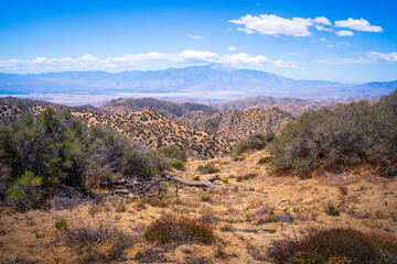 hiking in joshua tree national park in california, usa
