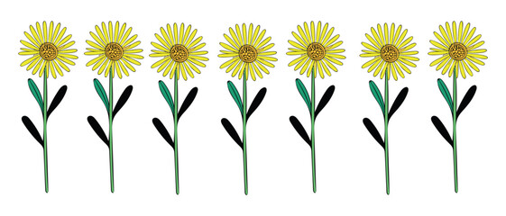 Yellow Daisy Flower Pattern Vector Illustration

Seamless Floral Design with Bright Yellow Flowers

Spring Bloom Pattern – Hand Drawn Yellow Daisies

Minimal Botanical Illustration with Green Stems an