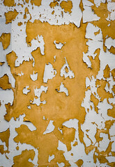 Mur de peinture &eacute;caill&eacute; en blanc et jaune