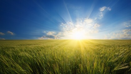 Sun Burst And Blue Sky