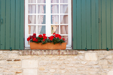 Fleurs sur le rebord de la fenêtre
