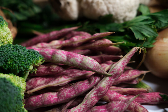 cranberry beans or barbunya seasonal legumes fresh uncleaned from the farmers market, organic agriculture