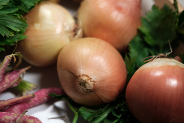 onions fresh raw from the market, new harvest season, seasonal vegetables