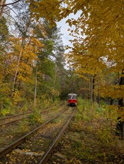 Fototapeta premium Vintage tram rides along railway through colourful fall forest.