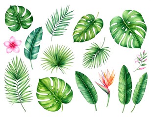 Fototapeta premium Watercolor botanical illustration featuring various tropical leaves and flowers. Lush green foliage depicts popular plants in a vibrant, detailed style