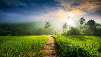 Ayappan Vilakku Divine Light Path