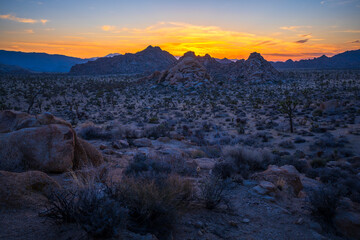 sunset at joshua tree national park in california, usa