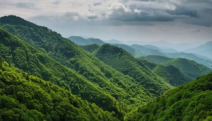 Naklejka premium Lush Green Mountains Covered In Dense Vegetation