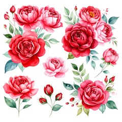 Watercolor floral composition featuring vibrant red and pink roses, buds, and green leaves, artfully arranged on a white background