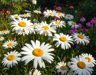 Lush close-up of a vibrant garden filled with daisies and various other flowers