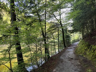 Fototapeta premium The educational pathway around the Lake Trakoscan 'Faerie Path' (Croatia) - Poučna staza 'Put Vila' ili staze za šetnju i rekreaciju oko Trakošćanskog jezera (Hrvatsko Zagorje, Hrvatska)