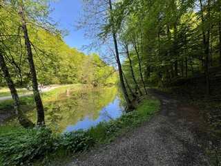 The educational pathway around the Lake Trakoscan 'Faerie Path' (Croatia) - Poučna staza 'Put Vila' ili staze za šetnju i rekreaciju oko Trakošćanskog jezera (Hrvatsko Zagorje, Hrvatska)