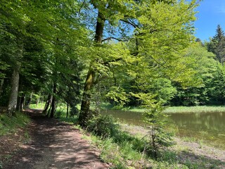 The educational pathway around the Lake Trakoscan 'Faerie Path' (Croatia) - Poučna staza 'Put Vila' ili staze za šetnju i rekreaciju oko Trakošćanskog jezera (Hrvatsko Zagorje, Hrvatska)