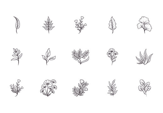 Black Botanical Leaves Nature Floral Icons Set