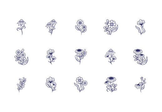 Flowers Outline Illustration Set
