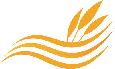 Minimal grain wave patterns fading into white space