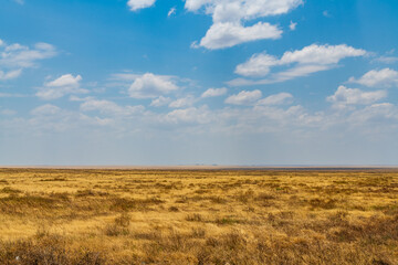 Fototapeta premium Landscape at the Serengeti national park, Tanzania. Wildlife photo