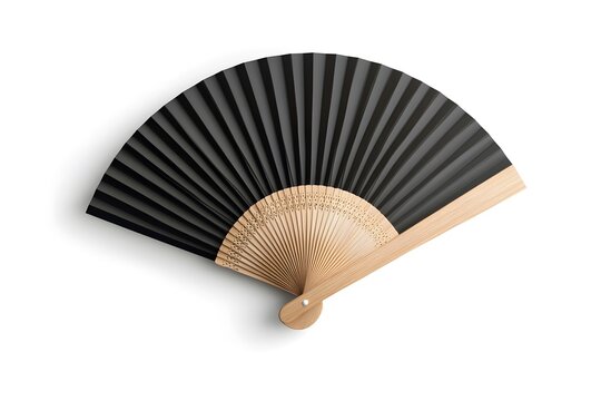 Traditional Hand Fan Pankha