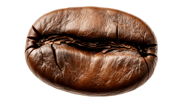 Closeup of a single roasted coffee bean isolated on transparent background