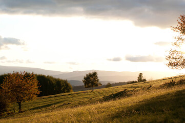 Warm sky tones and golden leaves create a peaceful and atmospheric scene. The image captures the beauty of nature and the magic of autumn in the mountains.
