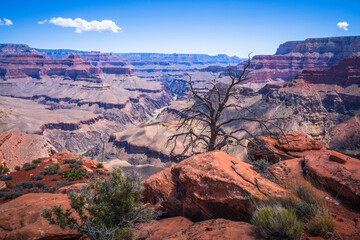 hiking in grand canyon national park in arizona, usa
