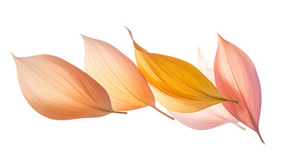 Minimal Green Leaf Dance in Gentle Wind, Fresh Nature Concept, Transparent